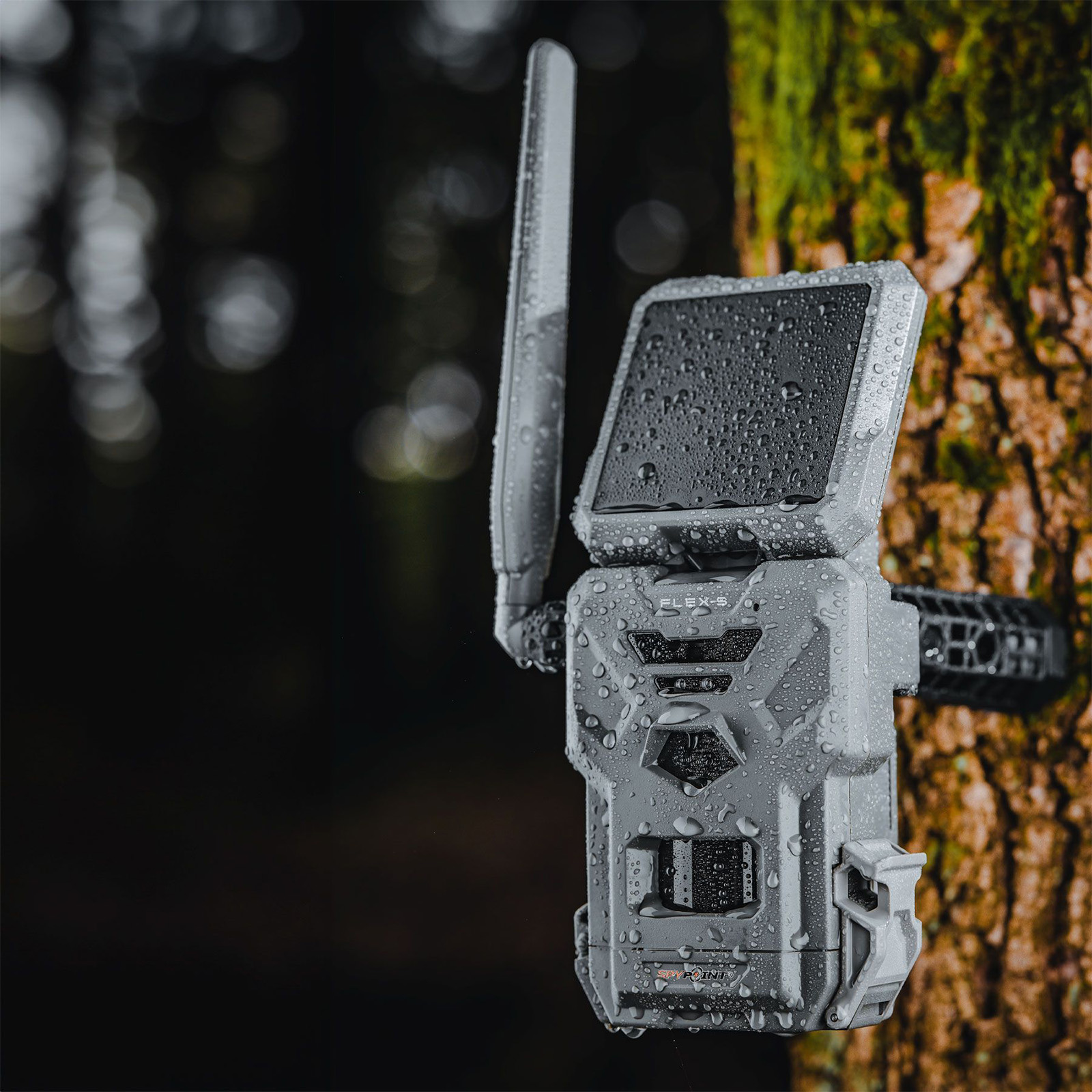 SPYPOINT Flex-S Wildkamera