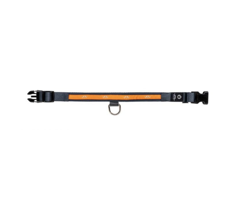 Blaser Halsband LED