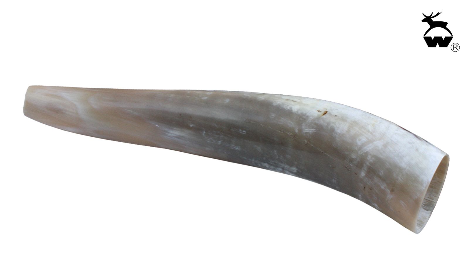 WEISSKIRCHEN Ochsenhorn für Hirschruf