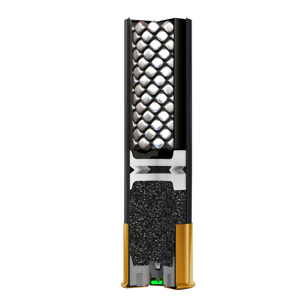 WINCHESTER Blind Side 12/89 46G