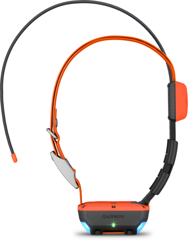Garmin Alpha T 20 K Collar