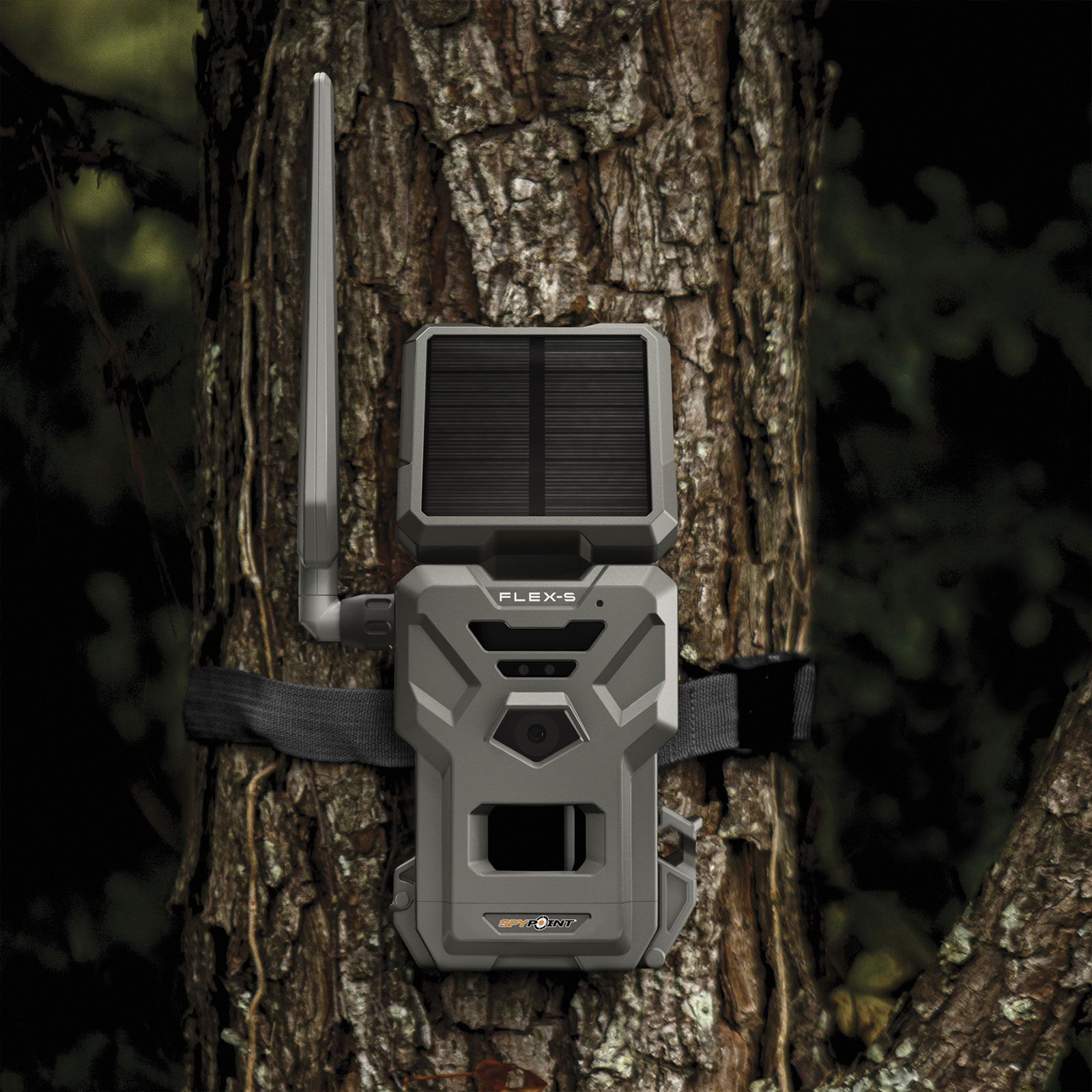 SPYPOINT Flex-S Wildkamera
