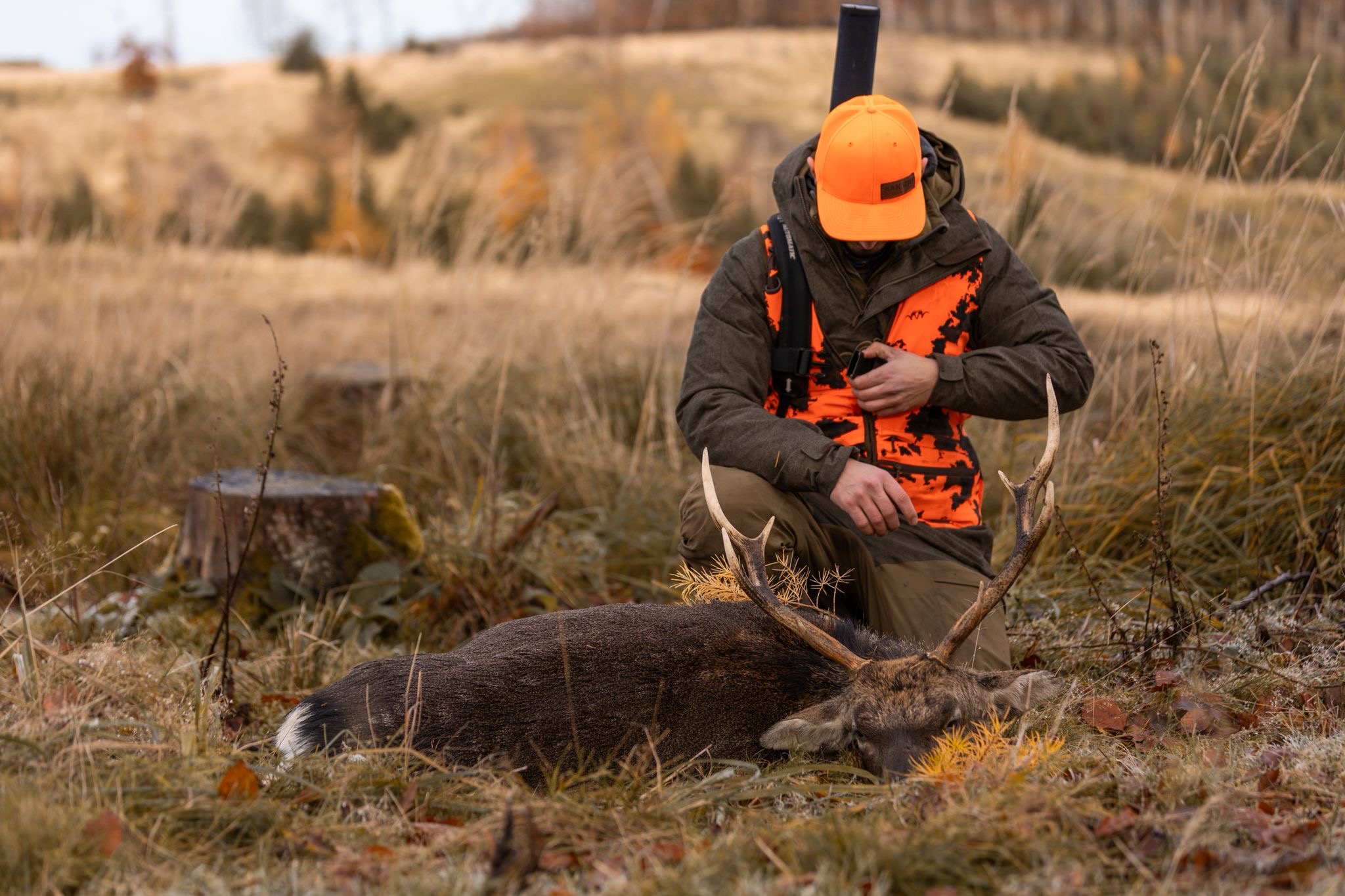 8fcf467c-aa6c-4759-b5a2-9535c731232d