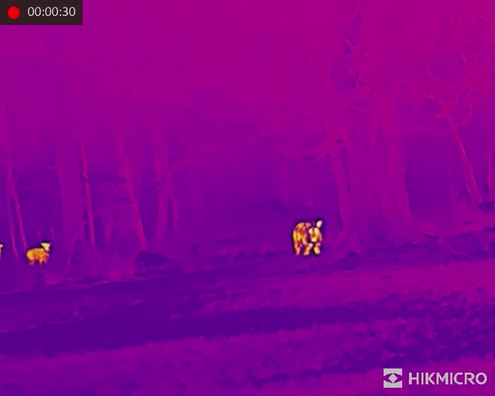 HIKMICRO Thunder TQ50C 2.0 Wärmebild-Vorsatzgerät