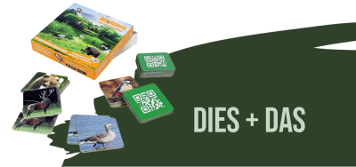 Dies + Das